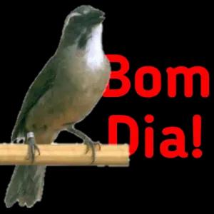 3TMa2g