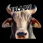 eu falei normal vc q leu com raiva