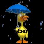 chovendo 