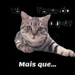 as melhores