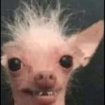 VOCÊ ESQUECEU
DE MIM