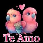 Oiii MEU XUXU 