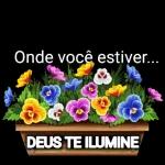 Shalom, Amigos e Nomes