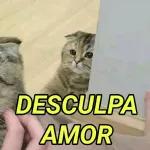 DESCULPA AMOR