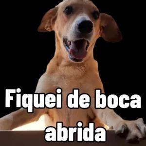 Fiquei de boca aberta - getsticker.com