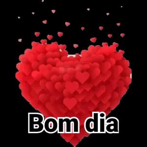 WZ6VDQ