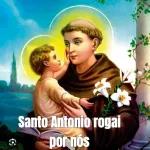 BOM SÃO JOÃO!