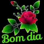 Bom
dia