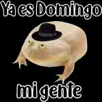 🐸Sapo Feliz Dia 🐸