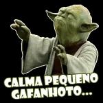 CALMA PEQUENO GAFANHOTO....