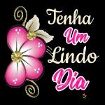 novo 2
