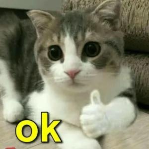 ok - getsticker.com