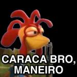 QUE FOFO