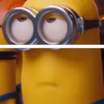 Bạn có thích mèo không?