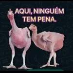 JÁ ESTOU EM CASA