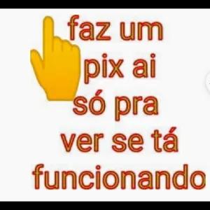 faz um pix ai só pra ver se tá funcionando - getsticker.com