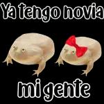 🐸Sapo Feliz Dia 🐸
