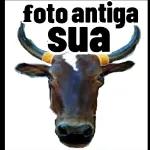 vai