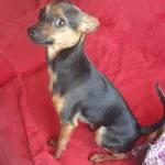 Vou Acordar
GRUPO
Esse