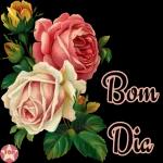 Bom dia 