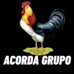 grupo 