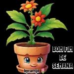 preferência 