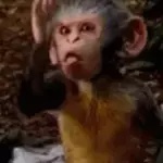 Hmmm, eu gostoé assim um terrorzinho