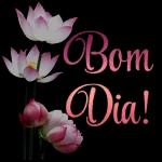 bom dia