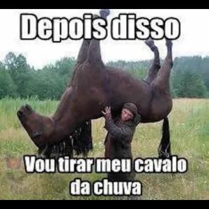 Depois disso Vou tirar meu cavalo da chuva - getsticker.com