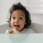 pica-pau