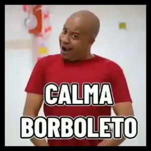 CALMA BORBOLETO - getsticker.com