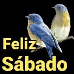 Bom dia 