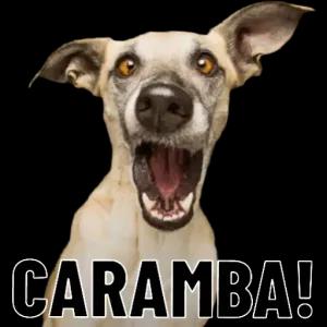 CARAMBA!  - getsticker.com