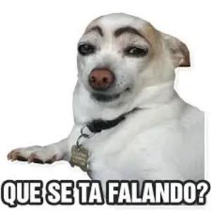 fr7ZFb