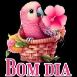 Bom dia 