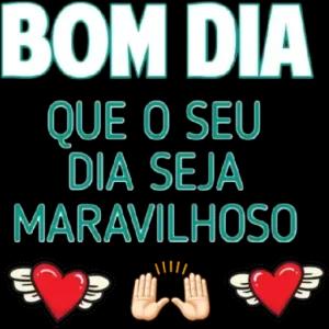 BOM DIA QUE O SEU DIA SEJA MARAVILHOSO V - getsticker.com