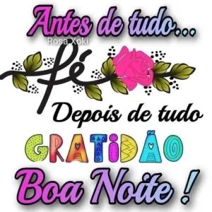 Antes de tudo... Rosa Xoki fe Depois de tudo GRATIDÃO Boa Noite ! - getsticker.com