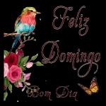 FELIZ DOMINGO!