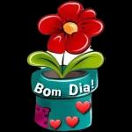 BOM DIA 