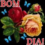  BOM
ge
Ska
DIA!