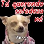 Cheguei, cheguei