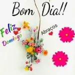 Bom Dia!! Feliz Domingo Abraços