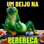 minha 