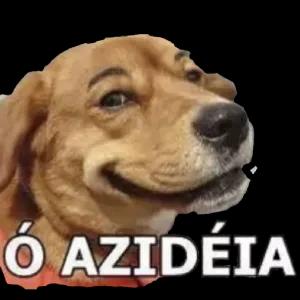 pZJ4wy