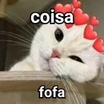 Que fofo 