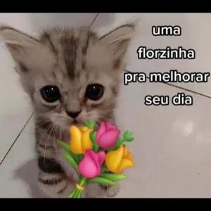 PCfNlf