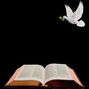 Deus é bom e suas misericórdias são eternas. - getsticker.com