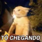 Bessa 1