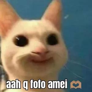 9N7Zyo