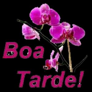 Boa Tarde!  - getsticker.com